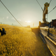 Image for article titled A Screenshot Tour Back Through The Stunning Assassin's Creed Origins